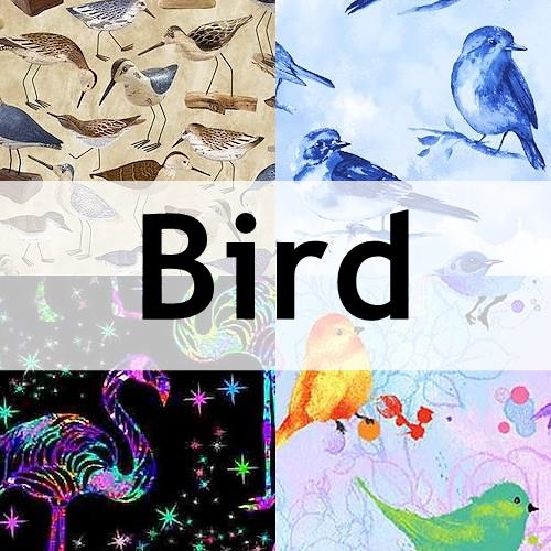 TT Bird